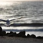 Hébergement de vacances 308a Auf Baltrum