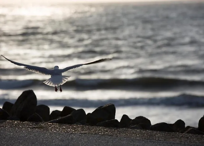 Holiday home 308a Baltrum