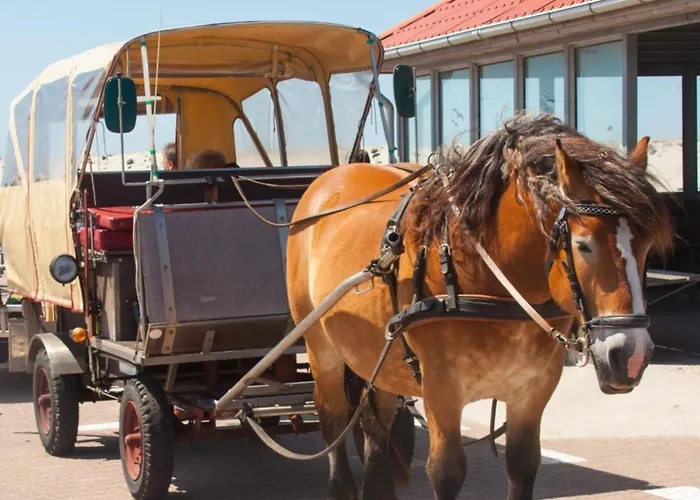 308a Holiday home Baltrum